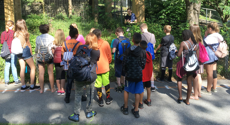 campers listen to zoo keeper at zoo exhibit 